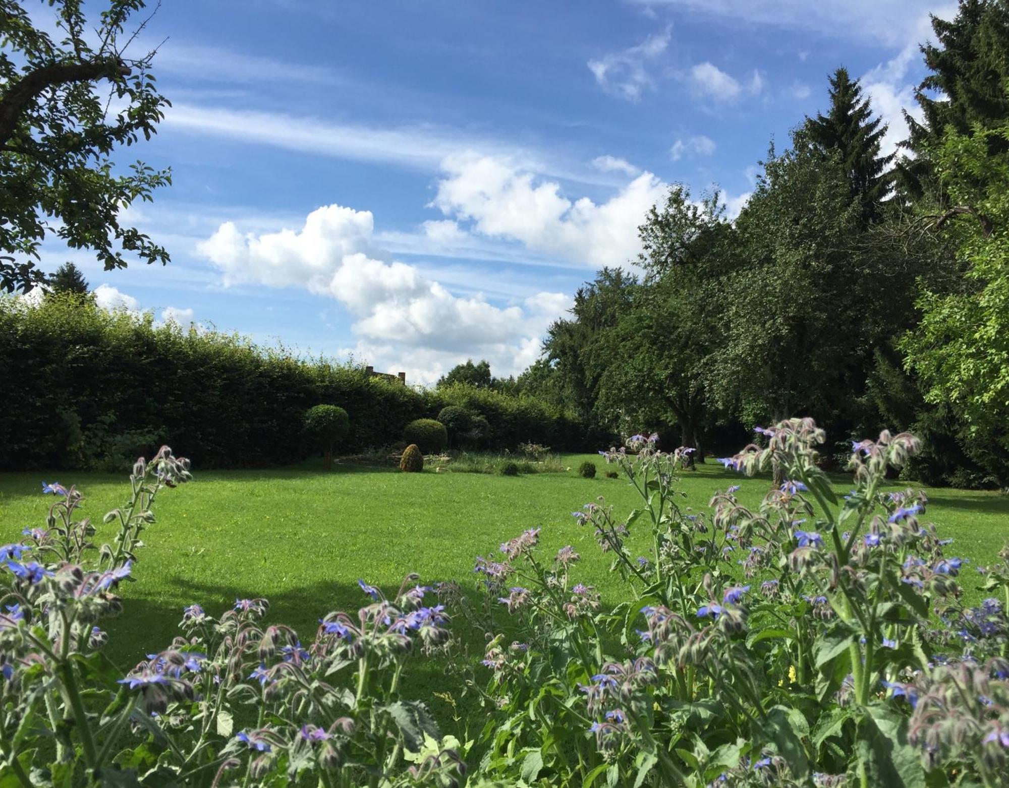 Flair Hotel Gruener Baum Donaueschingen Luaran gambar